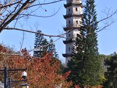 -江心屿景区