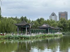 -莲花池公园