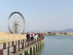 -苏州太湖湖滨国家湿地公园