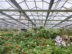 -南宫五洲植物乐园