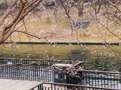 -安定门(地铁站)