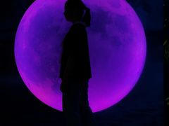 -天津梵高星空艺术馆(天河城旗舰店)