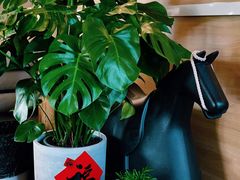 -糖房咖啡(南锣鼓巷店)