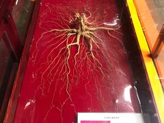-杭州胡庆余堂第二中医门诊部