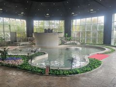 -徂徕山森林康养度假谷温泉