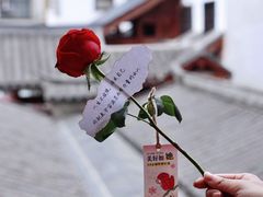 -苏家巷36号公馆