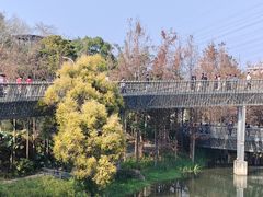 -福道