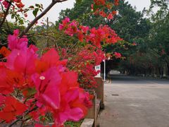 -广东外语外贸大学(白云山校区)