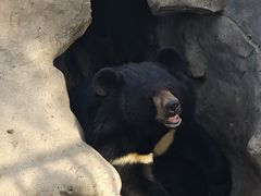 -石家庄市动物园