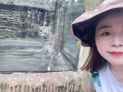 -贵州森林野生动物园