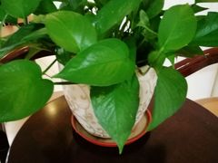 -中山大学附属肿瘤医院体检中心