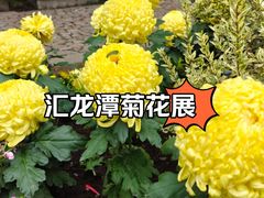 -汇龙潭