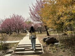 -新百广场(地铁站)