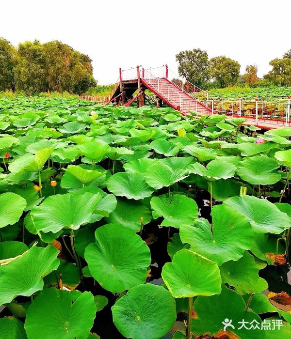 沈阳仙子湖图片