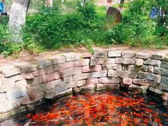 -水磨沟公园