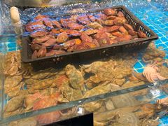 -九月海·海鲜自助(世纪东方店)