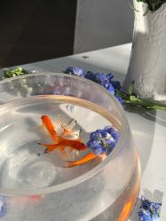 -WAVE SODA摄影工作室