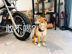 -NOTBAD 须时·咖啡馆