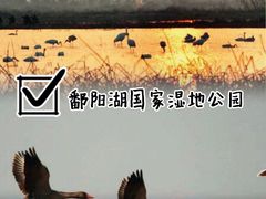 -鄱阳湖国家湿地公园