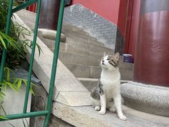 -天津市峰山药王古寺