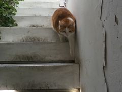 -小时光咖啡馆(北锣鼓巷店)