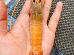 -菊上料理(蜀山银泰百货店)