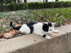 -半盆菜酒家(中山南一路店)