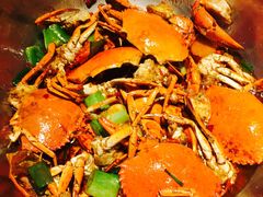 波格力蟹-七欣天(上海淮海路新尚广场店)