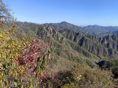 -大岭沟猕猴桃谷风景区