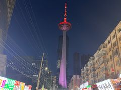 -辽宁电视塔