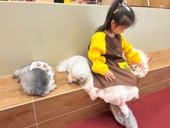 -和它·交个朋友·狗咖猫咖(爱琴海店)