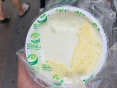 德禄酸奶-德禄酸奶(莫家街店)