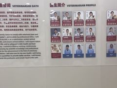 -御宝贝24h宠物医院·转诊中心·CT核磁血透中心(厦门总院)