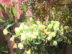 -春暖花开(西溪店)