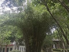 -中华贤母园-陶渊明纪念馆