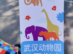 游乐设施-武汉动物园