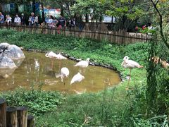 -昆明动物园