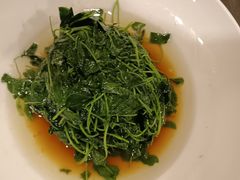 -宋园·金宴浙鲜馆(静安店)