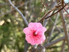 -鹫峰国家森林公园