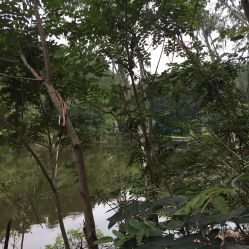 -成都飞越丛林(锦绣城园区)