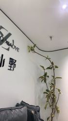 -张小野·专业半永久纹眉