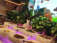 -额尔敦·品质自助(摩尔城店)