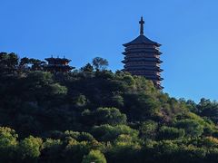 -永定河休闲森林公园