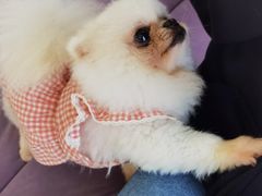 -怪兽屋·羊驼·猫咖·狗咖(俊华广场店)