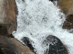 -海南热带雨林国家公园吊罗山景区