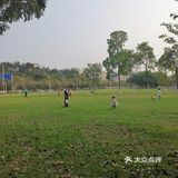 找个有水有草坪的环境好的地吧