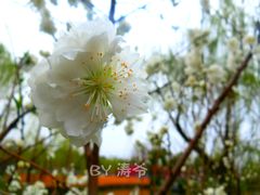 -圩墩遗址公园