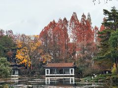 -杭州植物园
