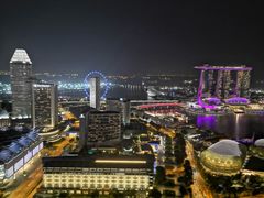 -新加坡瑞士史丹福酒店