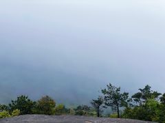 -玉苍山国家森林公园